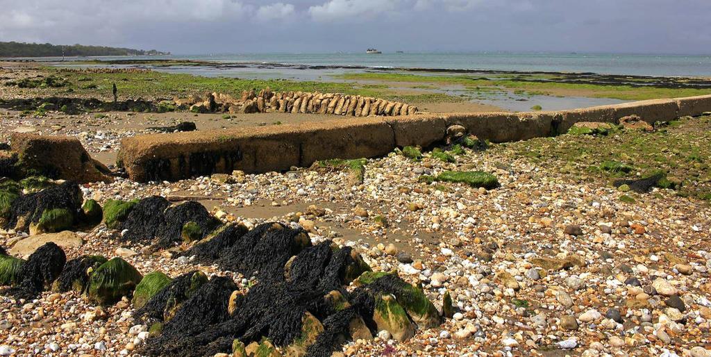 The Crab And Lobster Inn Bembridge Buitenkant foto
